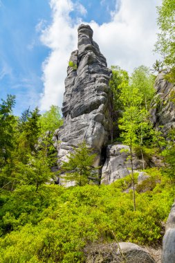 Adrspach-Teplice Ulusal Parkı 'ndaki Kayalar - Çek Cumhuriyeti