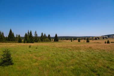 Mavi gökyüzü olan yaz manzarası. Bozi Dar, Krusne Dağları, Çek Cumhuriyeti.