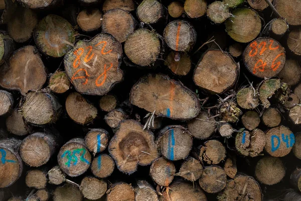 Kış Için Kesilmiş Odun Yığını Arka Plan Olarak Inşaat — Stok fotoğraf