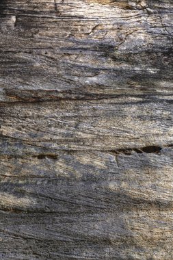 Arkaplan için doğa kaya dokusu