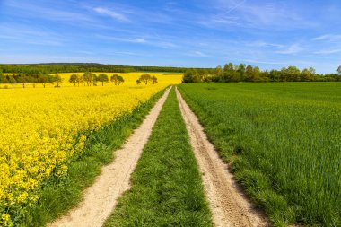 Tecavüz alanı, mavi gökyüzü yolu. Yaz mevsimi.