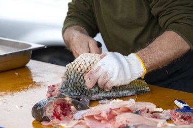 Man prepare a fresh fish by gutting and filleting. Fishing. clipart