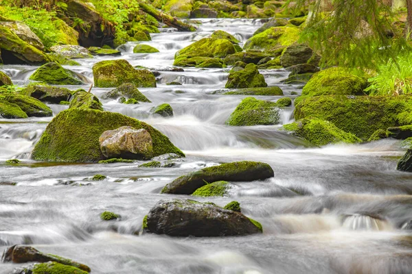 Cordilheira Parque Nacional Sumava República Checa — Fotografia de Stock