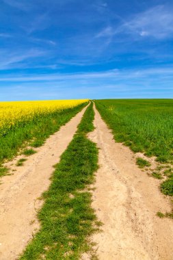 Tecavüz alanı, mavi gökyüzü yolu. Yaz mevsimi.