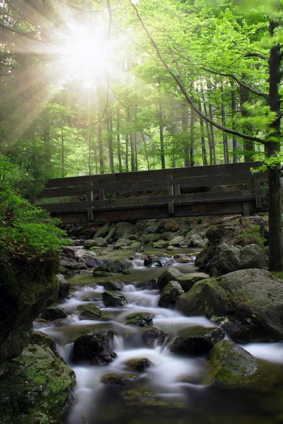 Waterfall in the national park Sumava — Stock Photo, Image