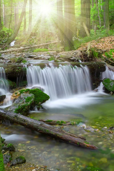 Wasserfall im Nationalpark Böhmerwald-Deutschland — Stockfoto