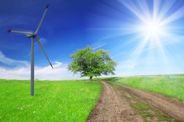 Campo, árbol, cielo azul con turbina eólica — Foto de Stock