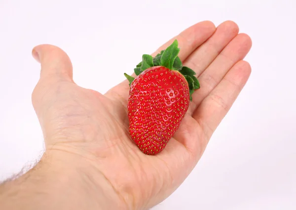 手でイチゴ — ストック写真