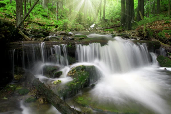 Cachoeira no parque nacional Sumava — Fotografia de Stock