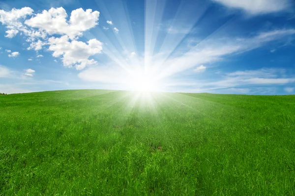 Campo verde y cielo azul nublado con sol — Foto de Stock