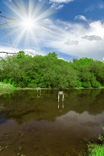 Estanque, árboles y cielo azul — Foto de Stock