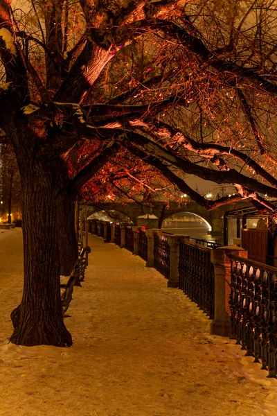 Natt Prag, park — Stockfoto