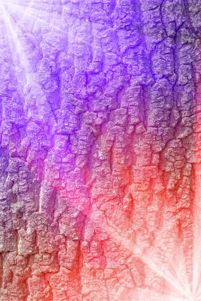 Albero corteccia texture sfondo perfettamente piastrellabile con il sole — Foto Stock