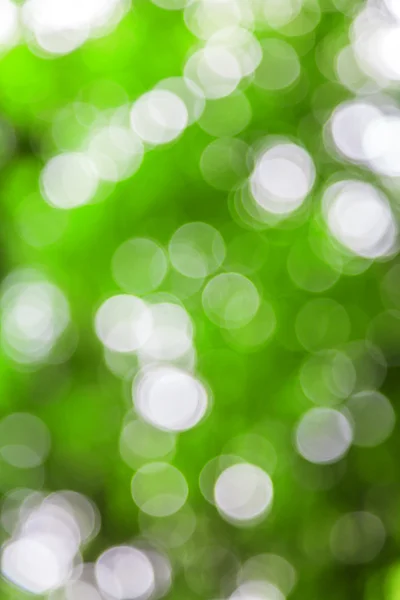 Luces verdes desenfocadas útiles como fondo. Bueno para diseños de sitios web o textura . —  Fotos de Stock