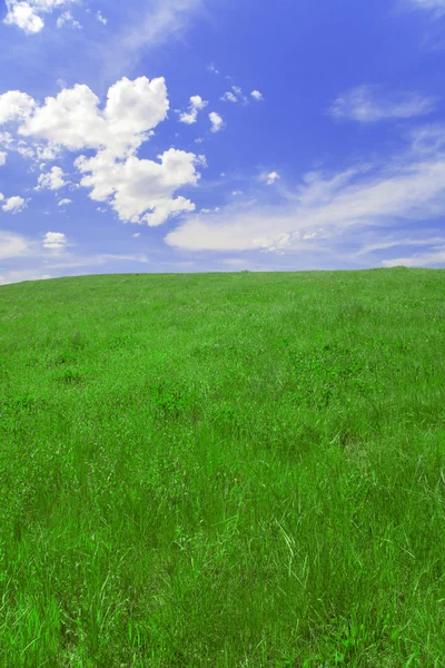 Groen veld en blauwe lucht — Stockfoto