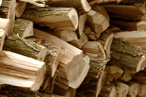 Wood as background — Stock Photo, Image