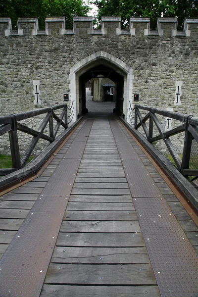 Porta del castello e parete rocciosa — Foto Stock