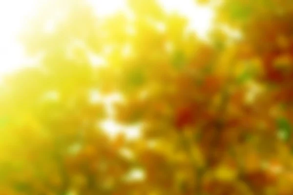 Frühling Hintergrund mit Sonnenschein — Stockfoto