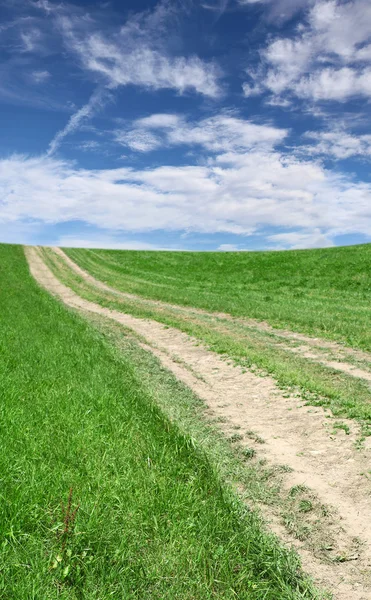 Lane çayır ve derin mavi gökyüzü
