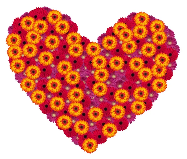 Herz aus Gerbera-Blumen — Stockfoto