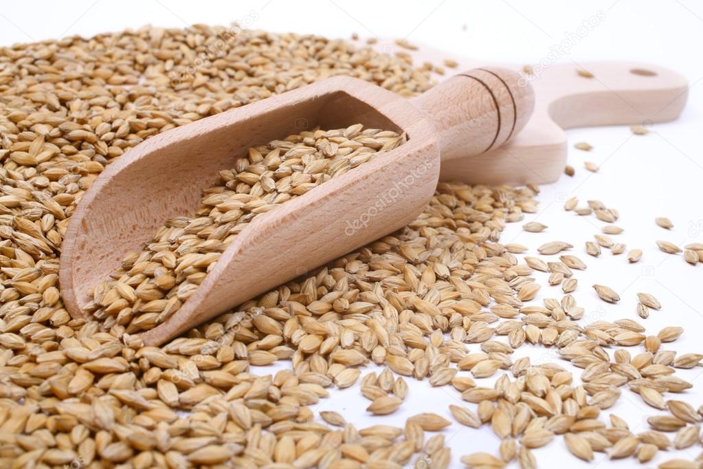 Wood spoon with whole wheat grains