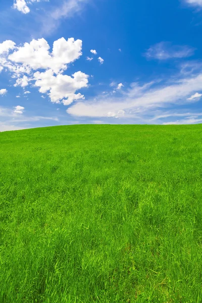 Frühlingslandschaft, Feld und blauer Himmel — Stockfoto