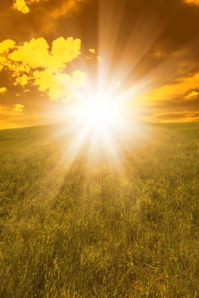 Herfst landschap met gras, zonsondergang — Stockfoto