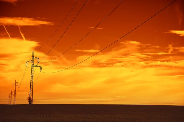 Linhas de energia ao pôr do sol — Fotografia de Stock