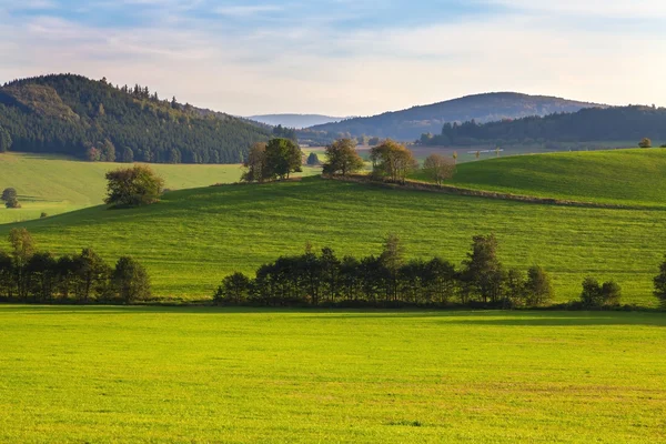 Schöne Sommerlandschaft, Tschechische Republik — Stockfoto