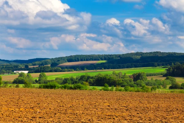 Gepflügte und grüne Felder, bewölkter Himmel — Stockfoto
