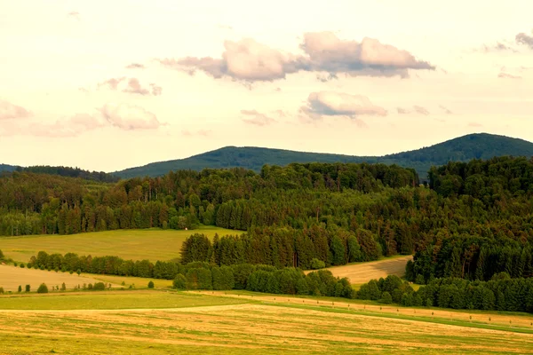 Paesaggio nella Repubblica Ceca — Foto Stock