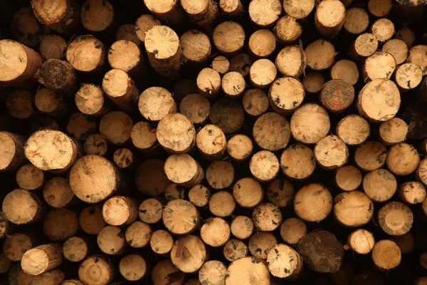 Madera picada apilada para el invierno o la construcción como fondo —  Fotos de Stock