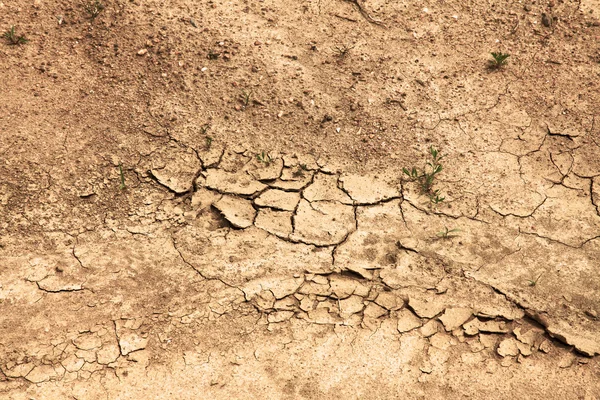 Fondo de suelo seco — Foto de Stock