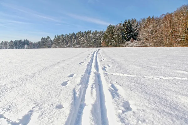 Winter landscape, HDR image — Stock Photo, Image