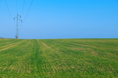 Güç hattı, yeşil alan mavi gökyüzü ile