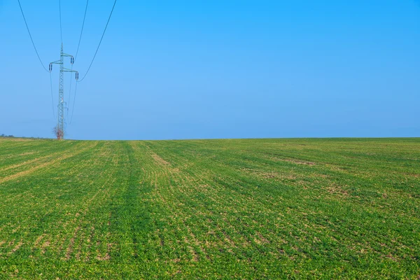 Linea elettrica, campo verde con cielo blu — Foto Stock