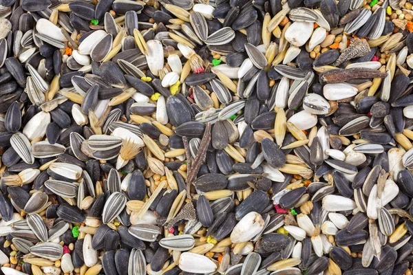 Mixed bird seed close up — Stock Photo, Image