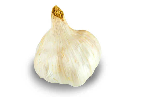 Garlic on white background — Stock Photo, Image