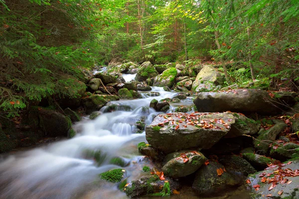 Vodopád v národním parku Šumava, Česká republika — Stock fotografie