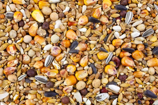 Mixed bird seed close up — Stock Photo, Image