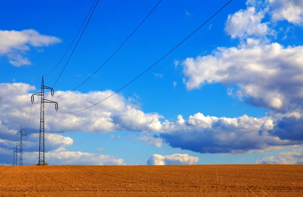 Linhas de energia que atravessam um campo de trigo com céu azul — Fotografia de Stock