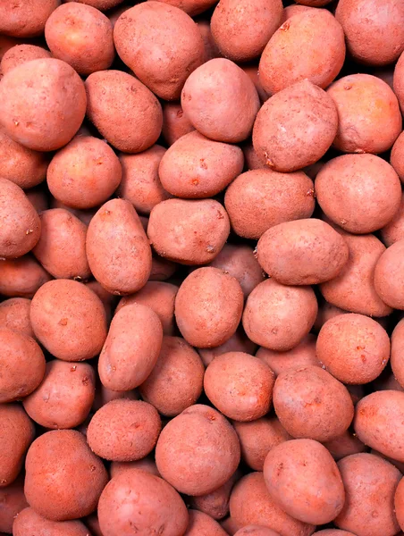 背景として赤いジャガイモ — ストック写真