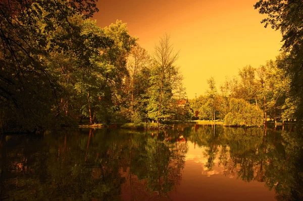 Зеленые деревья у озера на закате — стоковое фото