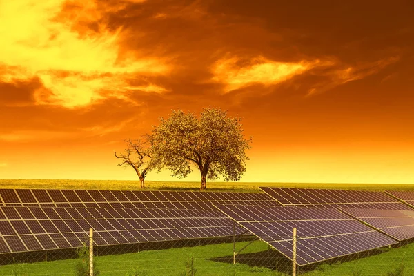 Solar energy panels before trees and sunset sky — Stock Photo, Image