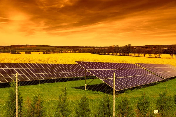 Solpaneler på grönt gräs vid solnedgången — Stockfoto