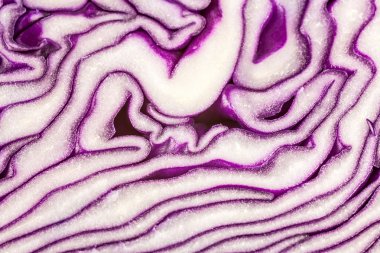 Kırmızı lahana doku. Bitkisel doğal arka plan.