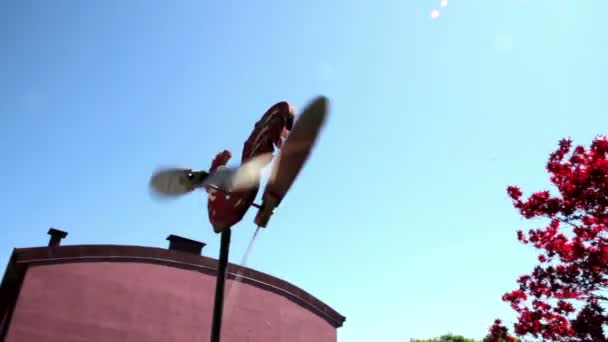 Cockerel kleurrijke houten weathervane geel en rood met vleugels die worden uitgevoerd — Stockvideo