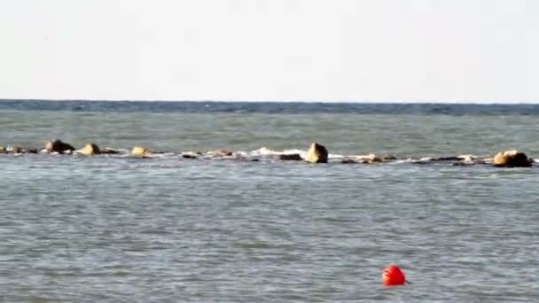 Panoramautsikt över havet och klipporna — Stockvideo