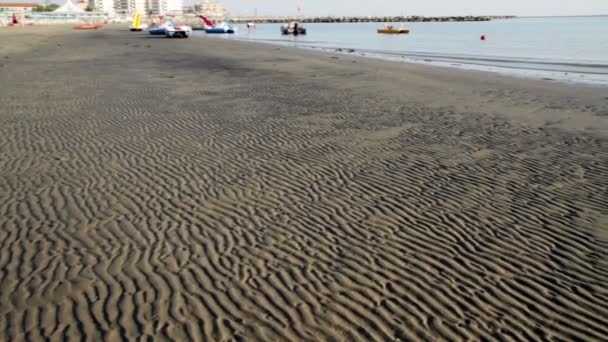 Spiaggia con alghe e bassa marea — Video Stock