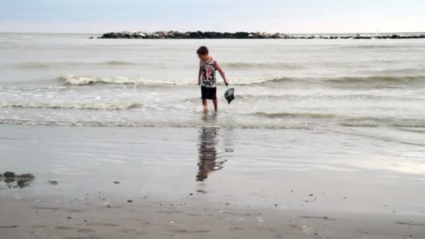 Child with fishing net — Stock Video